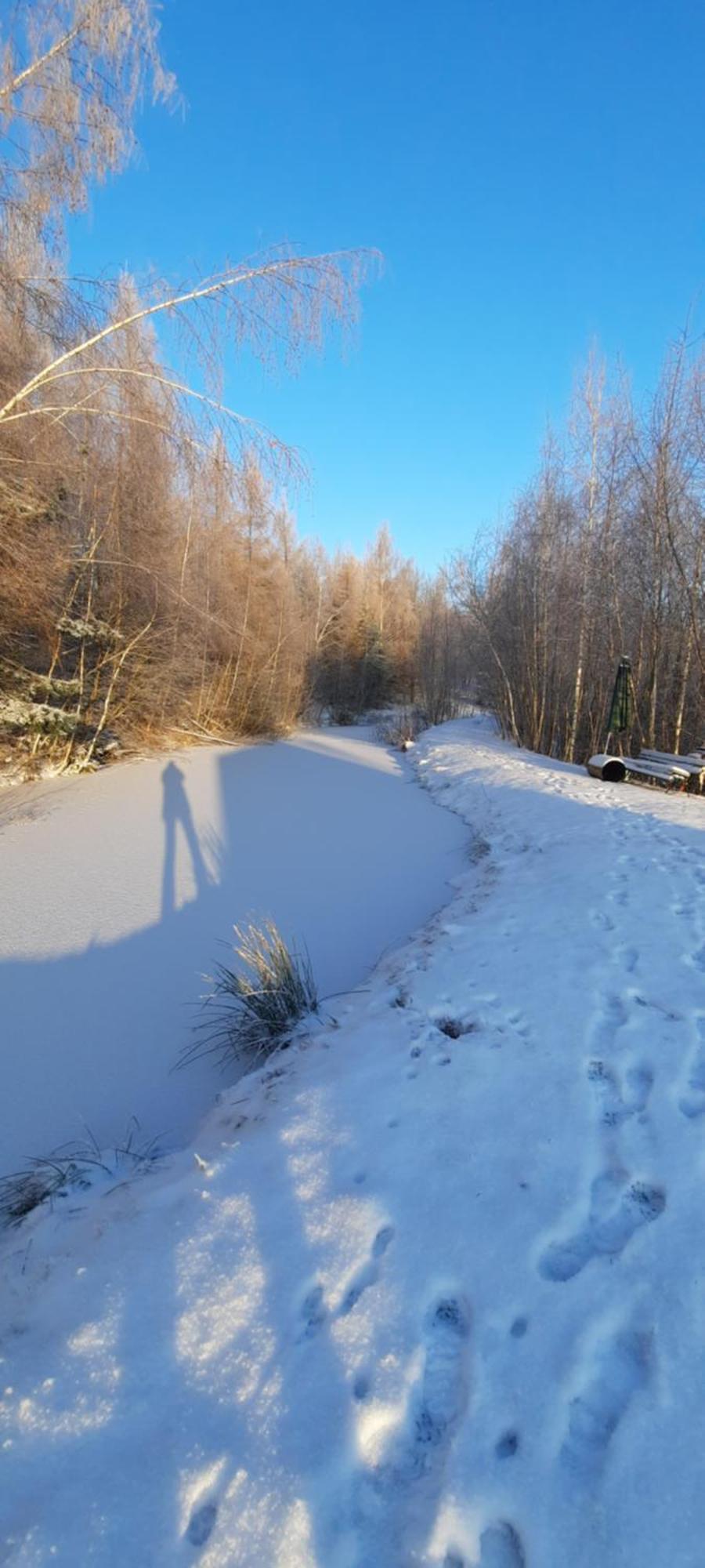 Kolorowe Wzgorze Zagorze * Zagorze Slaskie
